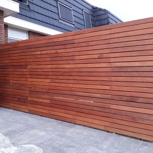 hardhout tigerwood